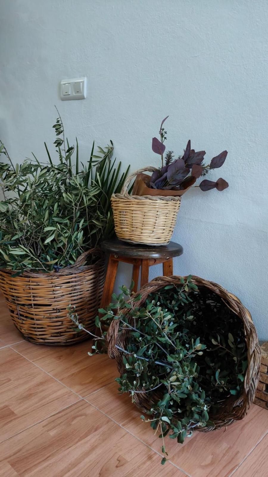 Apartment Lajas, *